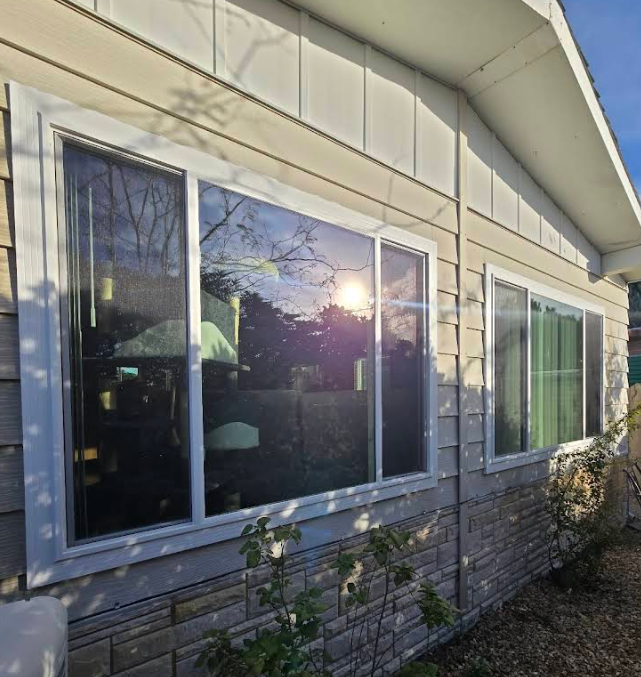 Replacement Windows